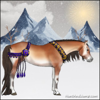 Horse Color:Bay Onyx 