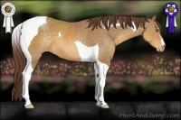 Horse Color:Sable Cream Champagne Tobiano Appaloosa 