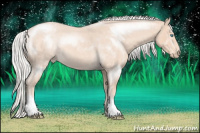 Horse Color:Silver Perlino Roan 