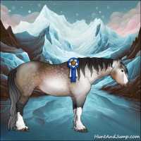 Horse Color:Gray Buckskin 