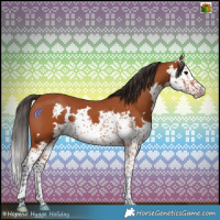 Horse Color:Bay Sabino 