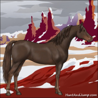 Horse Color:Liver Chestnut  and Liver Chestnut 