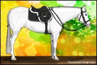 Horse Color:Bay Sabino Splash Appaloosa 
