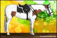 Horse Color:Bay Sabino Splash Tobiano 