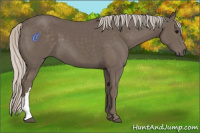 Horse Color:Silver Black 