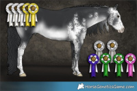 Horse Color:Black Chinchilla Sabino 