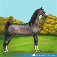 Horse Color:Platinum Brown 