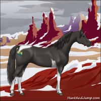 Horse Color:Smoky Black Tobiano 