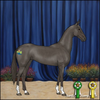 Horse Color:Smoky Blue Roan Tobiano 