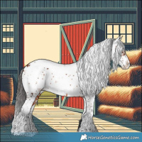 Horse Color:Bay Sabino 