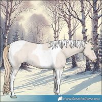 Horse Color:Smoky Creme Roan Tobiano 
