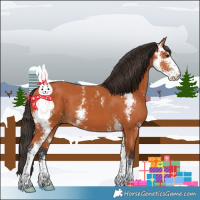 Horse Color:Bay Sabino 