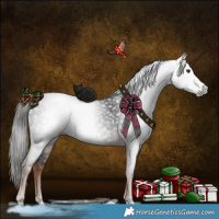 Horse Color:Gray White Spotted Liver Chestnut 