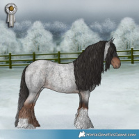 Horse Color:Liver Red Roan Tobiano
