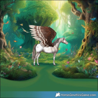 Horse Color:Red Onyx Appaloosa 