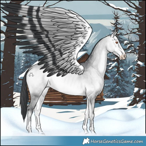 Horse Color:Bay Chinchilla Onyx Sabino 