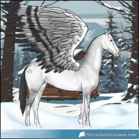 Horse Color:Bay Chinchilla Onyx Sabino 