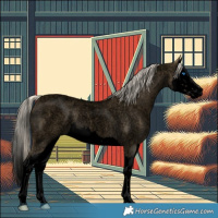 Horse Color:Void Silver Smoky Blue Roan Splash 