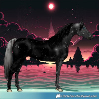 Horse Color:Void Silver Buckskin Pearl Tobiano Near Leopard 