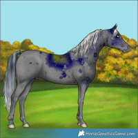 Horse Color:ERROR: UNKNOWN ANOMALY