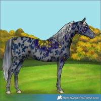 Horse Color:ERROR: UNKNOWN ANOMALY