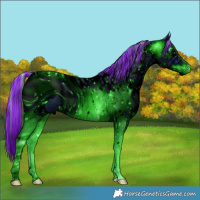 Horse Color:ERROR: UNKNOWN ANOMALY