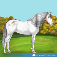 Horse Color:White Spotted Sable Champagne Splash Tobiano 
