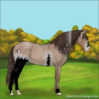 Horse Color:White Spotted Classic Champagne Roan 