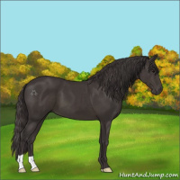 Horse Color:Smoky Black 