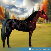 Horse Color:ERROR: UNKNOWN ANOMALY