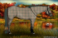 Horse Color:Void Plaid  Liver Red Dun Tobiano 