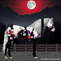 Horse Color:White Spotted Silver Smoky Creme Dun Tobiano 