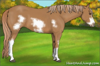 Horse Color:Chestnut Frame 