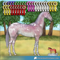 Horse Color:Platinum Watercolor White Spotted Chocolate Brown Dun Tobiano Brindle 