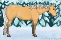 Horse Color:Silver Buckskin