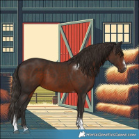Horse Color:Liver Chestnut Tobiano 