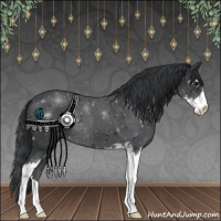 Horse Color:Black Sabino 