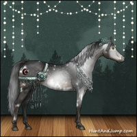 Horse Color:Gray White Spotted Smoky Black 