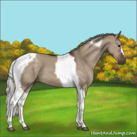 Horse Color:Silver Brown Dun Tobiano 