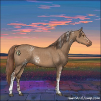 Horse Color:White Spotted Liver Red Dun Rabicano 