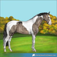 Horse Color:Brown Dun Splash Tobiano Brindle 