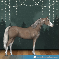 Horse Color:White Spotted Silver Smoky Black Splash 