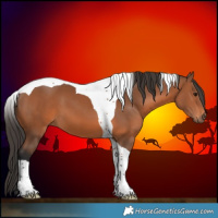 Horse Color:Bay Tobiano 