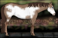 Horse Color:Liver Red Dun Frame 