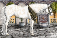 Horse Color:Cremello Leopard 