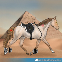 Horse Color:Bay Roan Pearl 