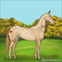 Horse Color:Chestnut Pearl
