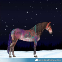 Horse Color:White Spotted Liver Chestnut Tobiano and Bay Dun