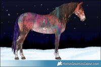 Horse Color:White Spotted Liver Chestnut Tobiano  and Bay Dun 