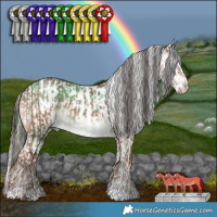 Horse Color:Liver Red Dun Brindle and Liver Red Dun Tobiano Appaloosa Brindle